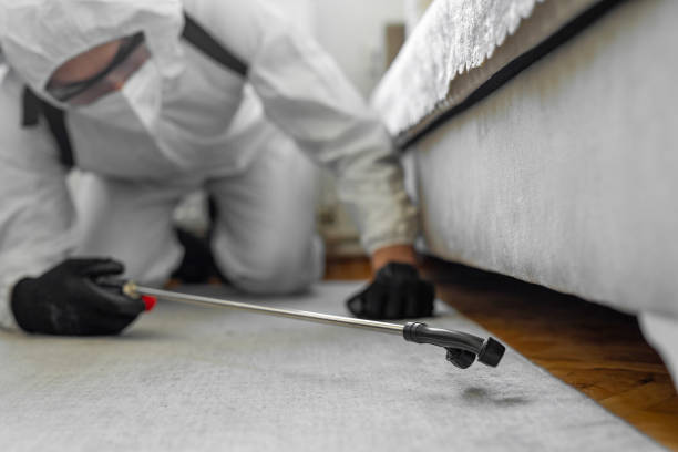 Professional Cockroach Control technician working in Caswell County County, NC